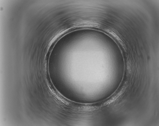 X0000060240933200510311518