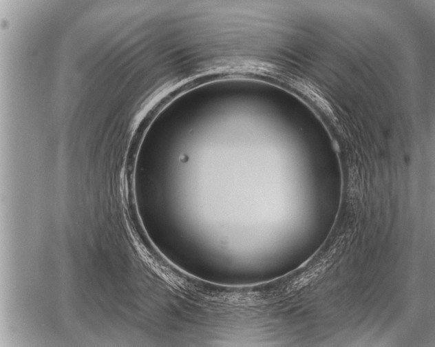 X0000060240936200510311518