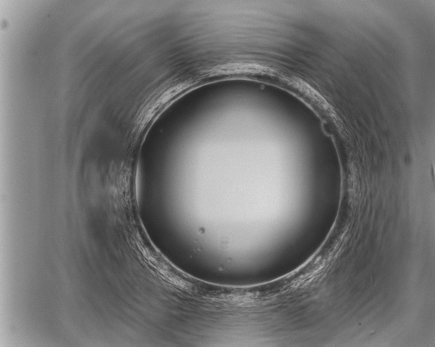 X0000060240937200510311518