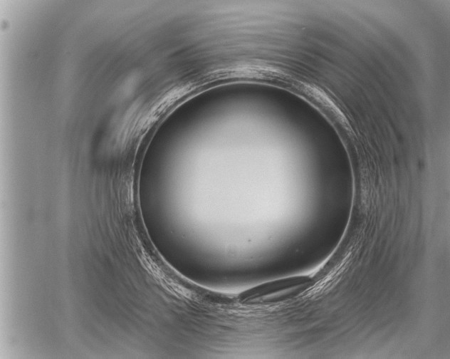 X0000060240938200510311518