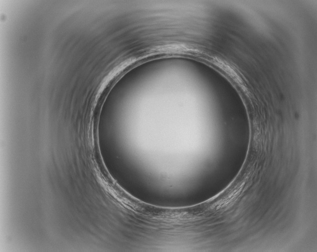 X0000060240939200510311518