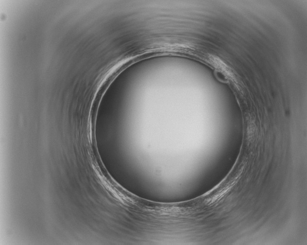 X0000060240940200510311518