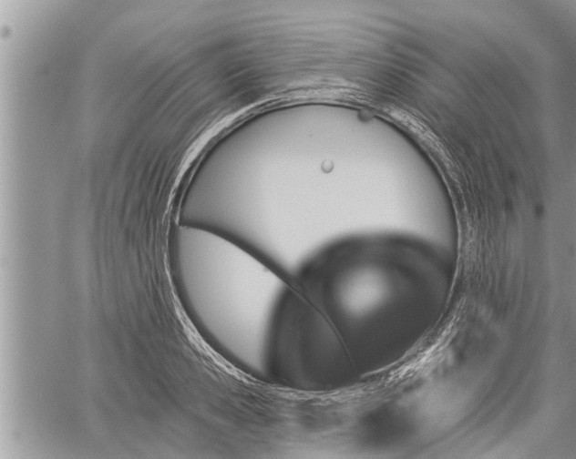 X0000060240941200510311518