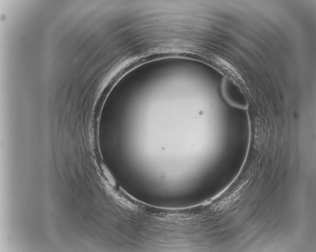 X0000060240942200510311518