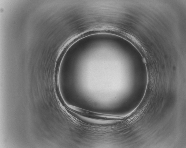 X0000060240943200510311518