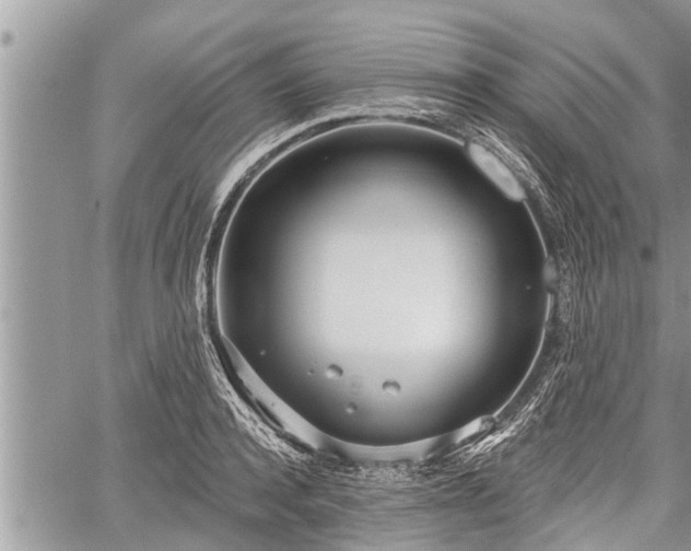 X0000060240944200510311518