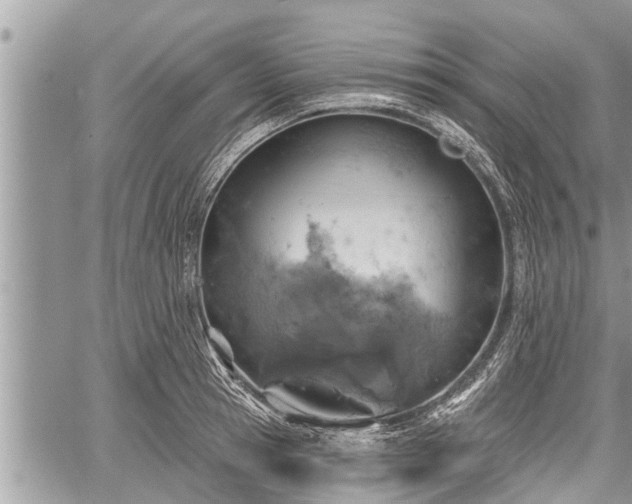 X0000060240945200510311518