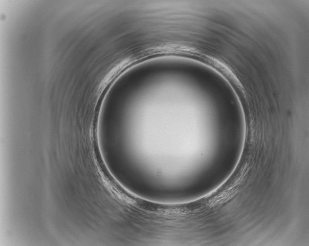 X0000060240946200510311518