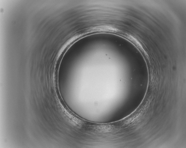 X0000060240947200510311518