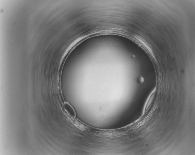 X0000060240948200510311518