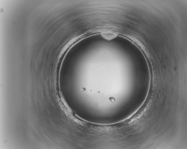 X0000060240949200510311518