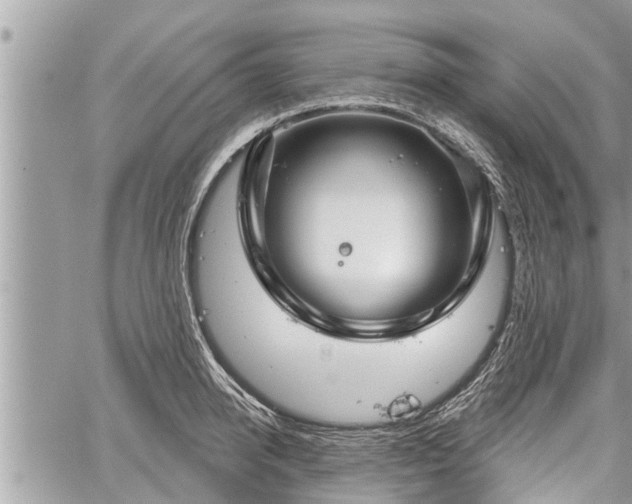 X0000060240950200510311518