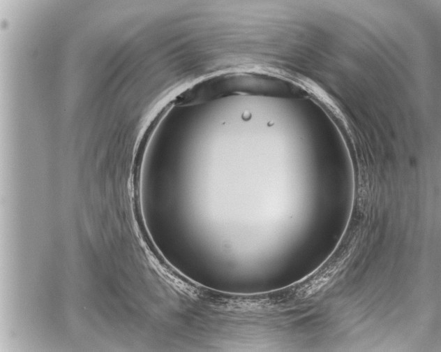 X0000060240951200510311518