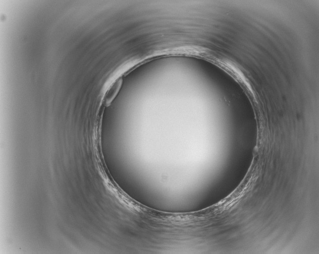 X0000060240952200510311518