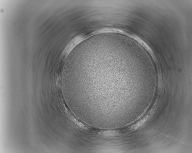 X0000060240953200510311518