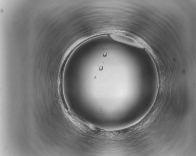 X0000060240955200510311518