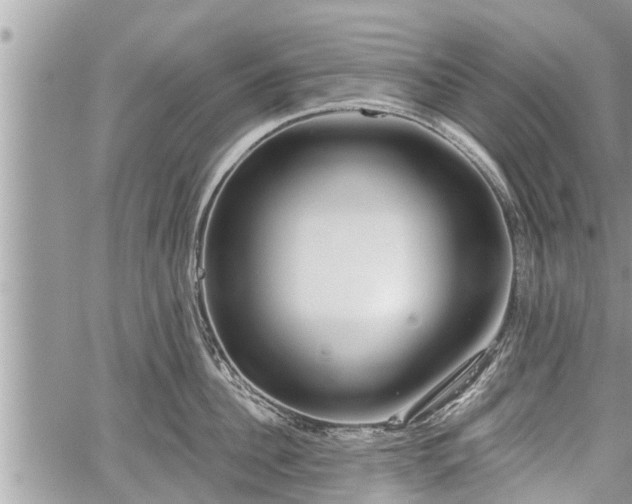 X0000060240956200510311518