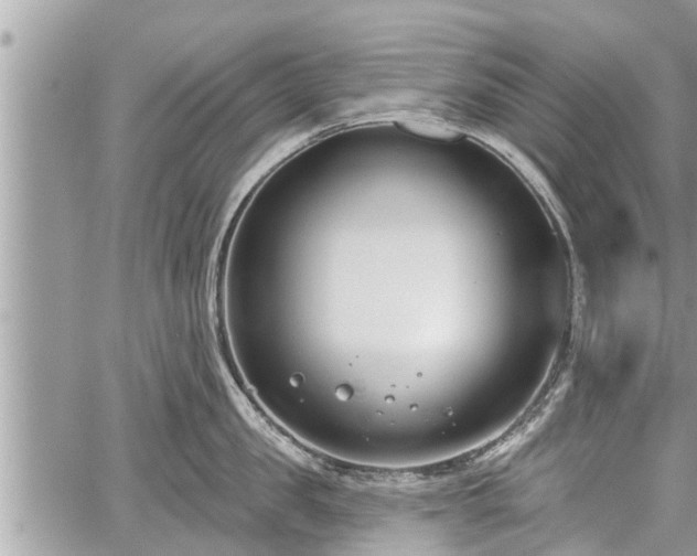 X0000060240957200510311518