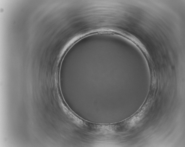 X0000060240958200510311518