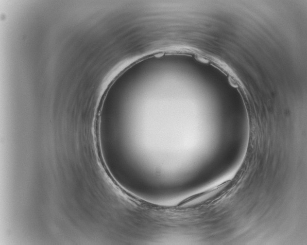 X0000060240959200510311518