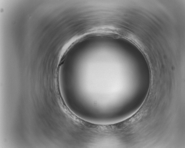 X0000060240960200510311519