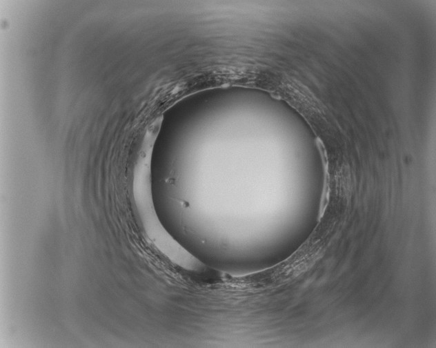 X0000060240961200510311518