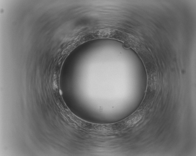 X0000060240962200510311518