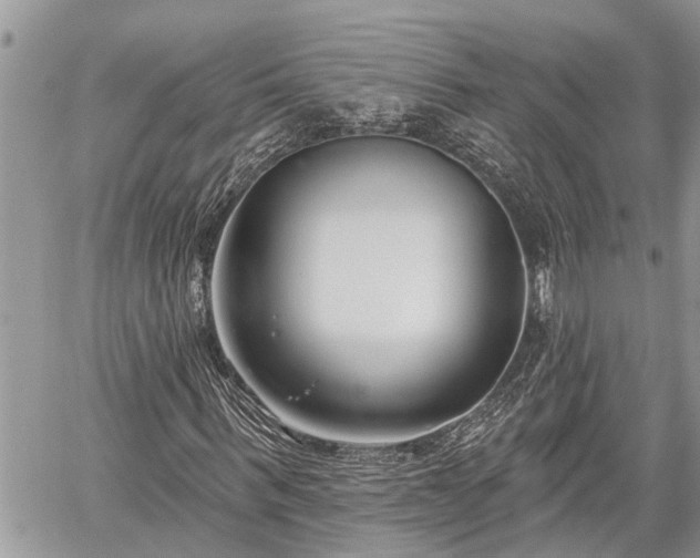 X0000060240963200510311518