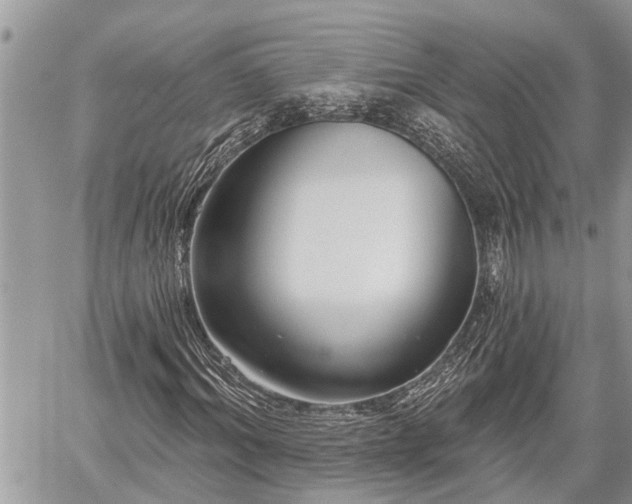 X0000060240964200510311518