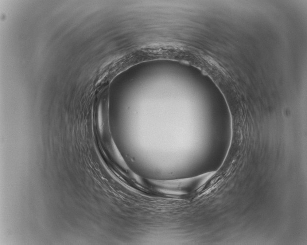 X0000060240965200510311518