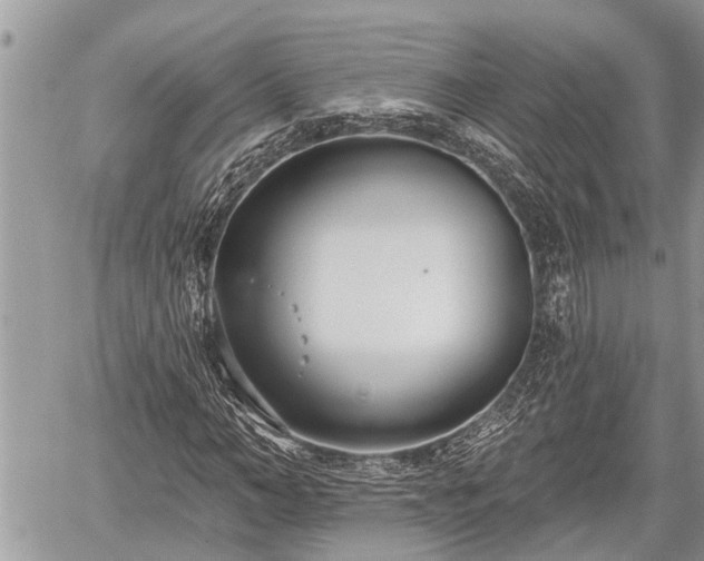 X0000060240966200510311518