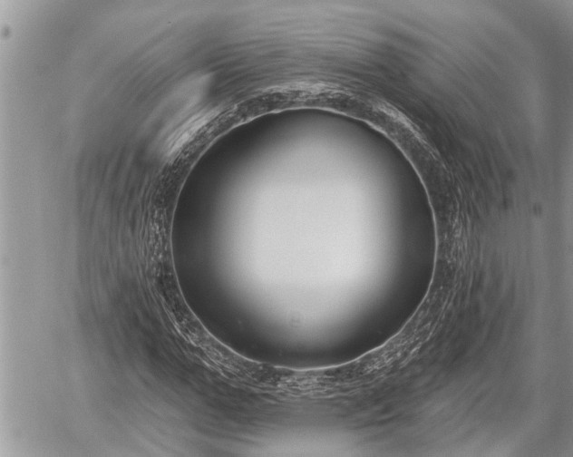 X0000060240967200510311518