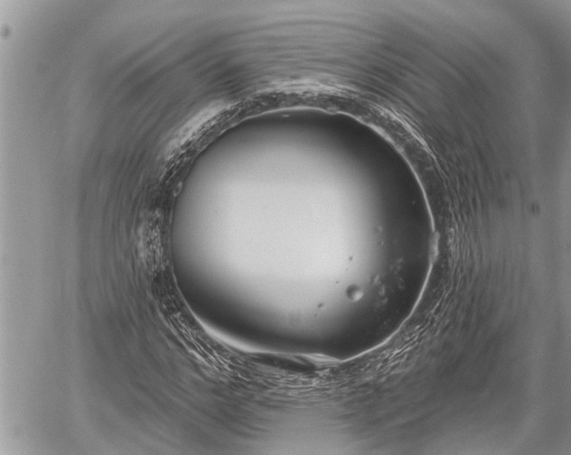 X0000060240968200510311518