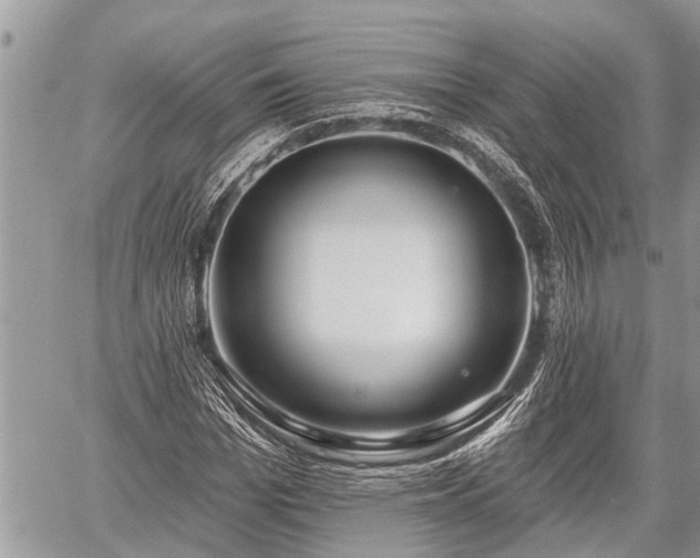 X0000060240969200510311518