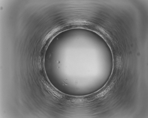 X0000060240970200510311518