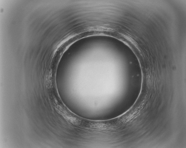 X0000060240971200510311518