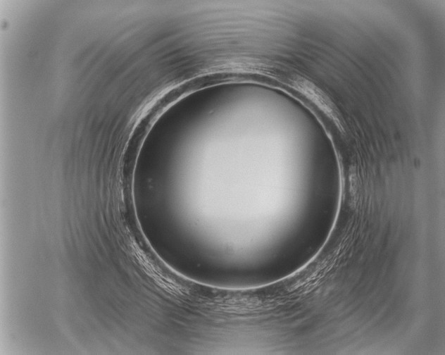 X0000060240972200510311518