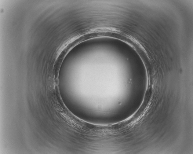 X0000060240973200510311517