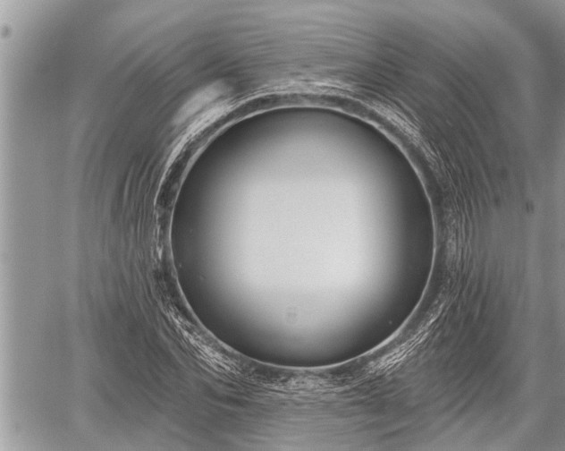 X0000060240974200510311517