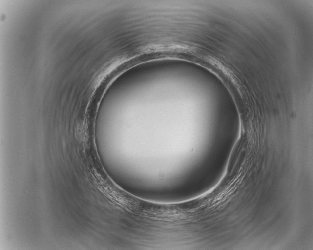 X0000060240975200510311517