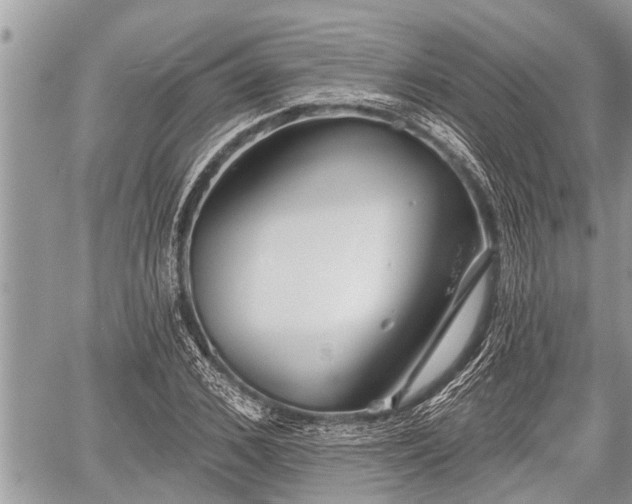 X0000060240976200510311517