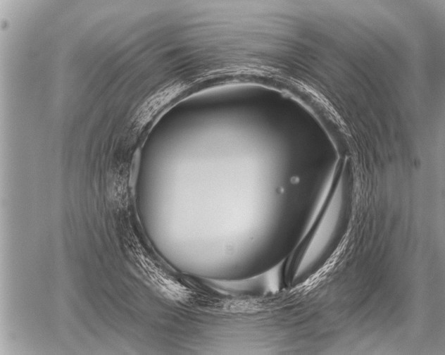 X0000060240977200510311517