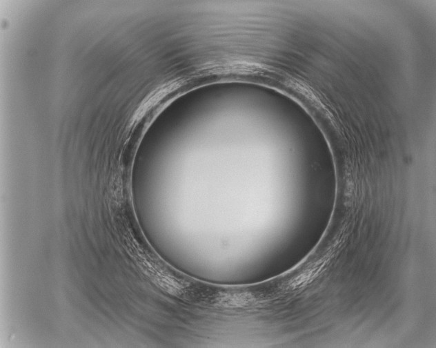 X0000060240978200510311517