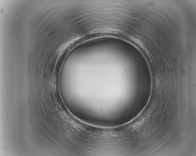 X0000060240979200510311517