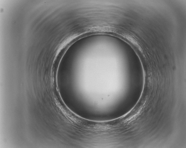 X0000060240981200510311517