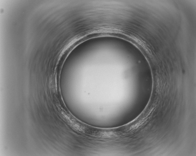 X0000060240982200510311517