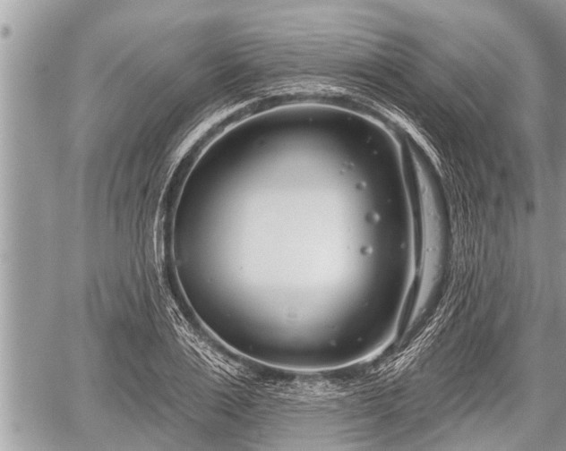 X0000060240983200510311517