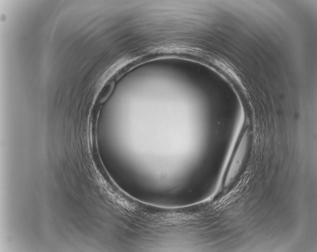 X0000060240984200510311517