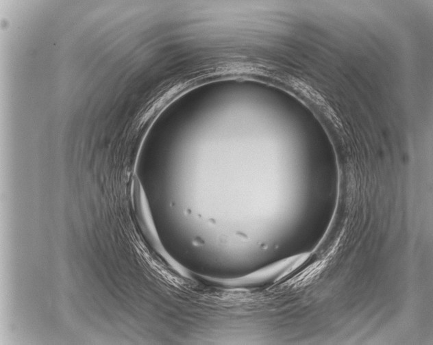 X0000060240985200510311517