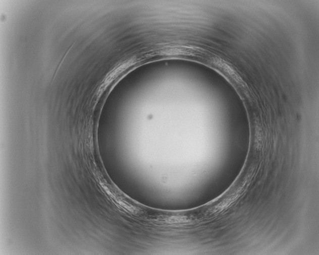 X0000060240986200510311517